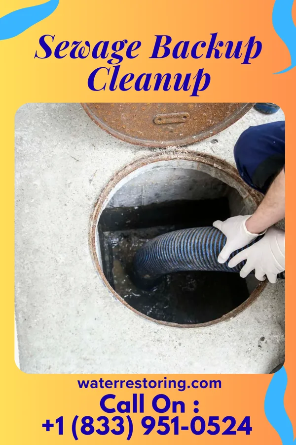 Sewage Backup Cleanup in Protection, KS