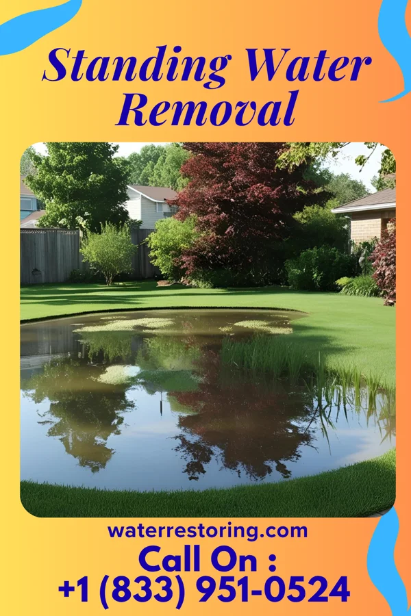 Standing Water Removal in Protection, KS